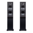 PSB Alpha T20