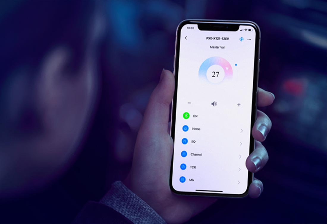 Alpine PXE-X121-12EV EV-Series 12-Channel Hi-Res Digital Sound Processor and Amplifier
