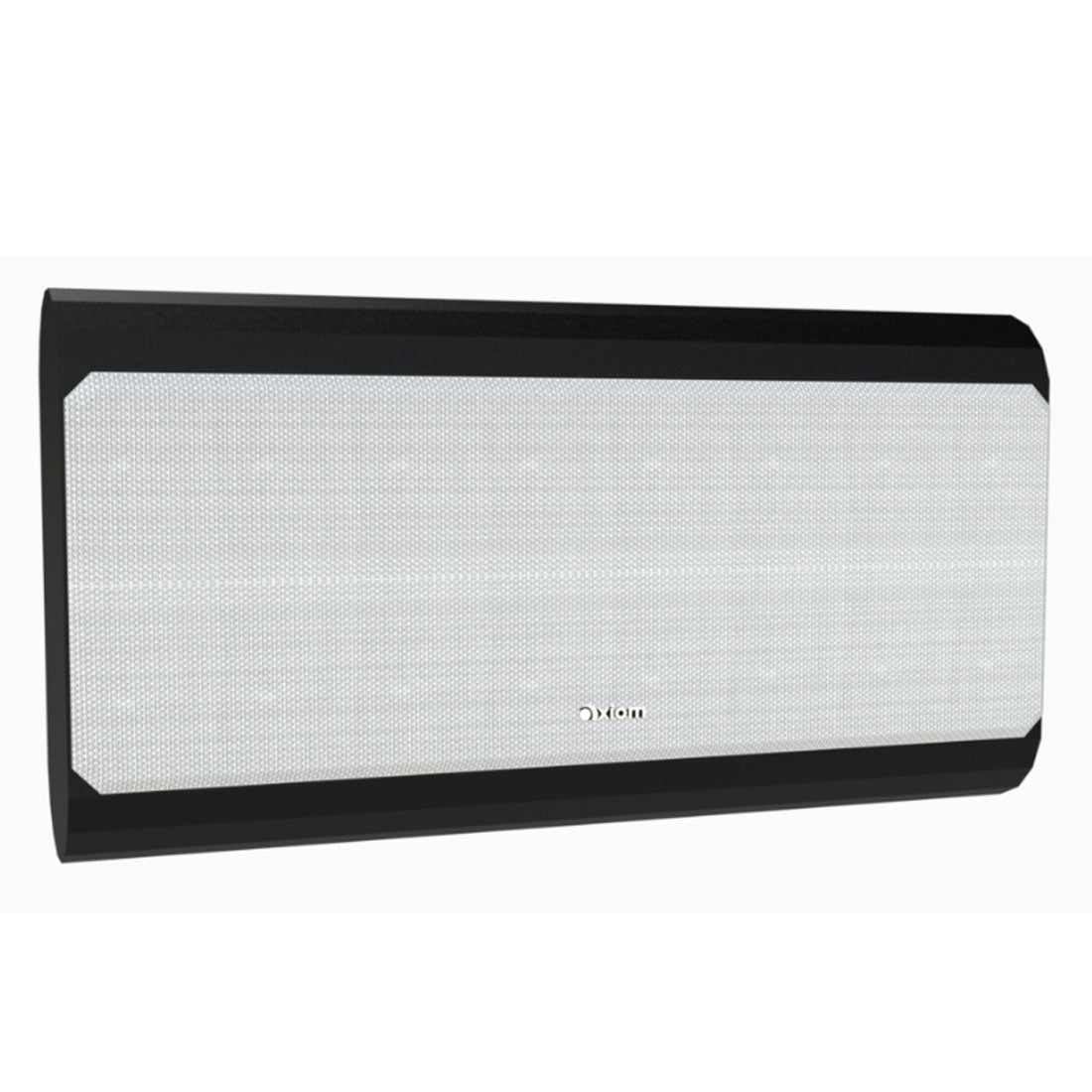 Axiom 48058 VP100 On-Wall Center Channel Speaker