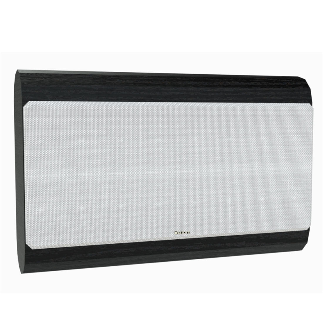 Axiom VP160 On-Wall Center Channel Speaker
