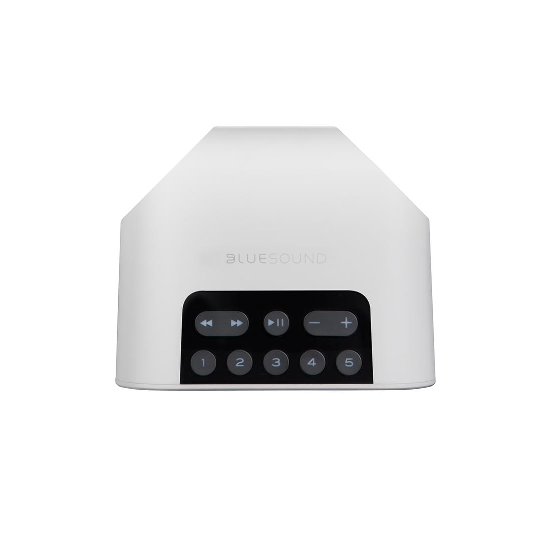Bluesound Pulse Flex 2i Portable Wireless Multi-Room Music Streaming Speaker - White