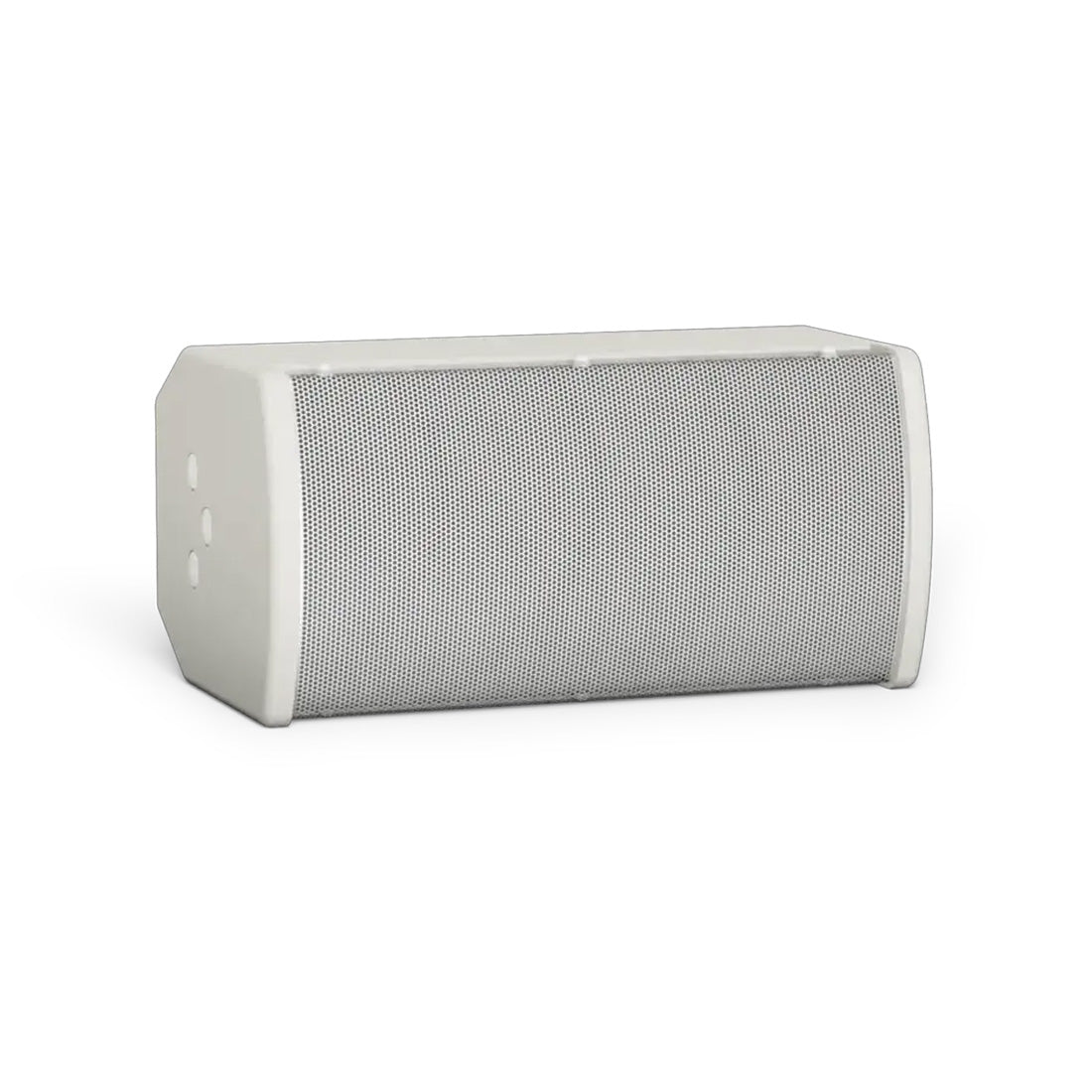 Bose AMU105 ArenaMatch Utility 5.25" Compact Outdoor Loudspeaker - Each