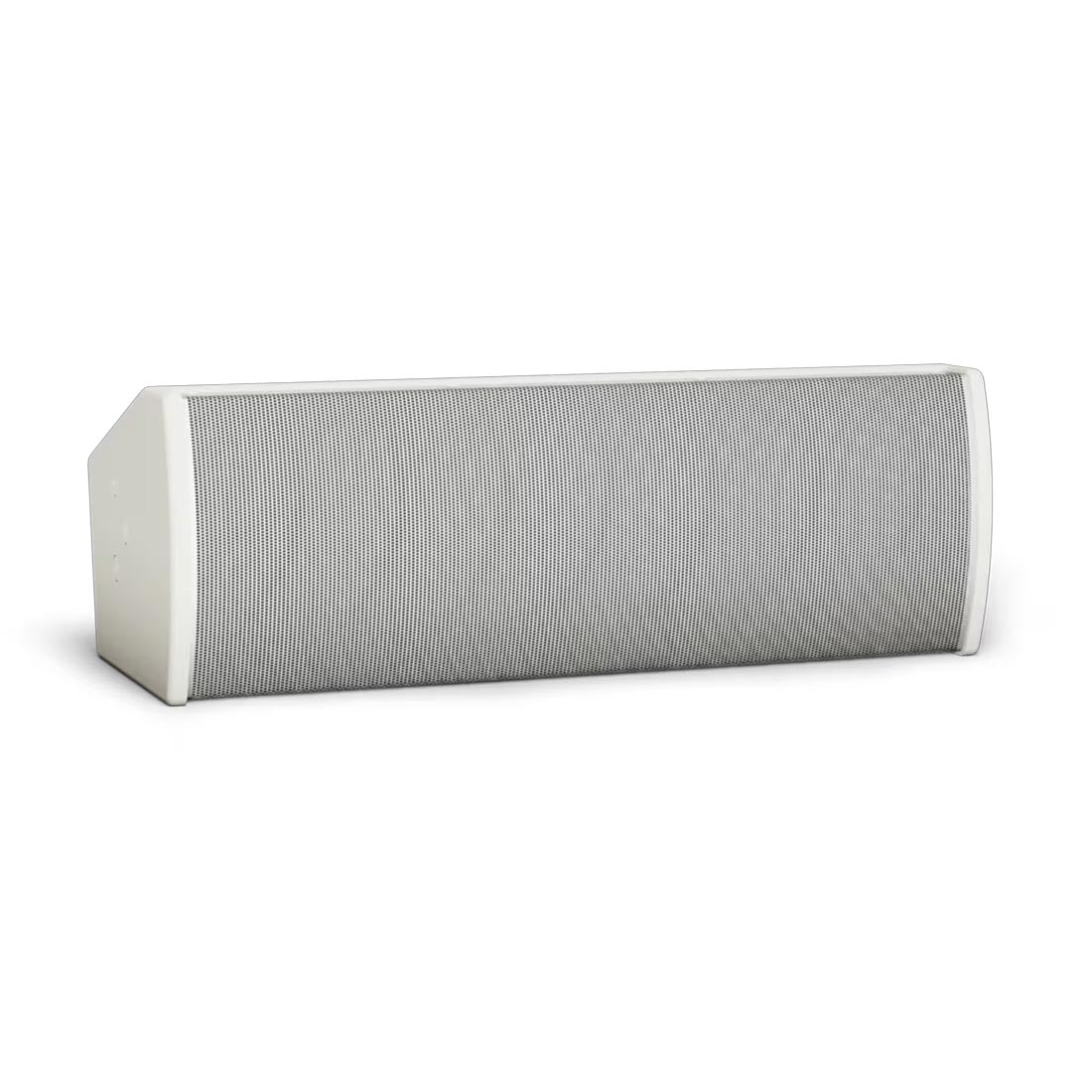 Bose Professional AMU206 ArenaMatch Utility 6.5" Dual Loaded Compact Outdoor Loudspeaker - Each