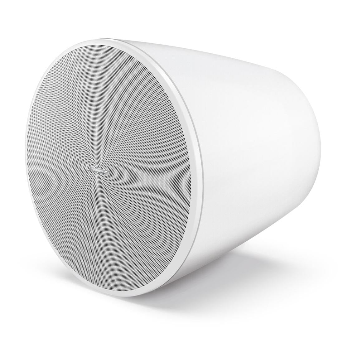 Bose Professional DM10P-SUB 10" DesignMax Pendant Subwoofer