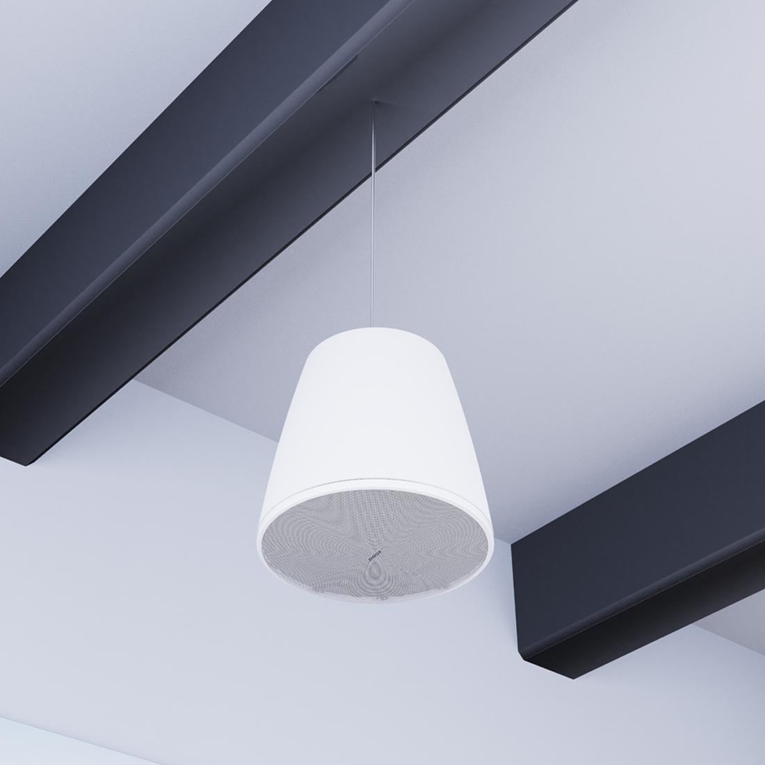 Bose Professional DM10P-SUB 10" DesignMax Pendant Subwoofer