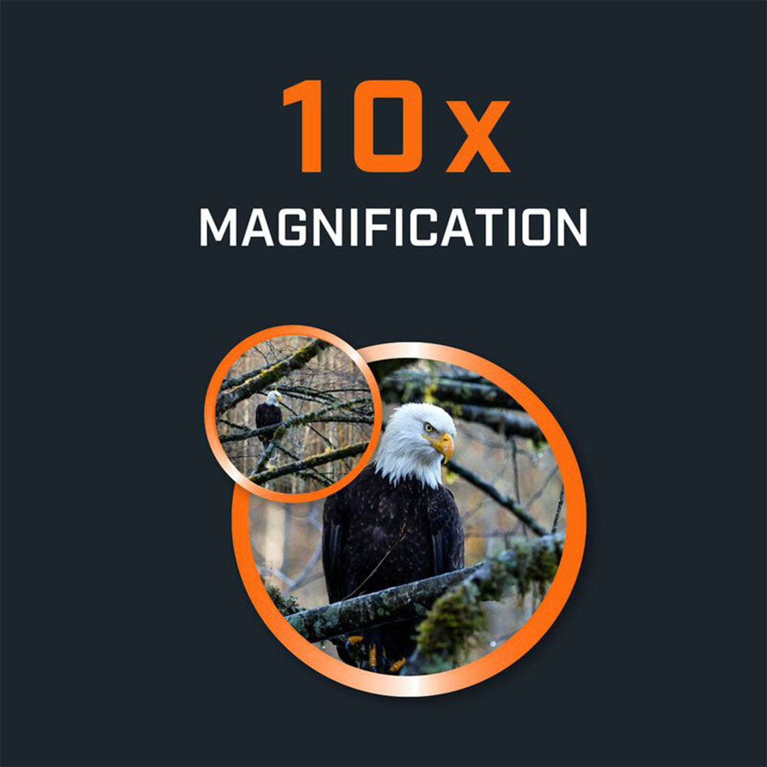 Bushnell 13-0105R H2O 10x25 Waterproof Binoculars