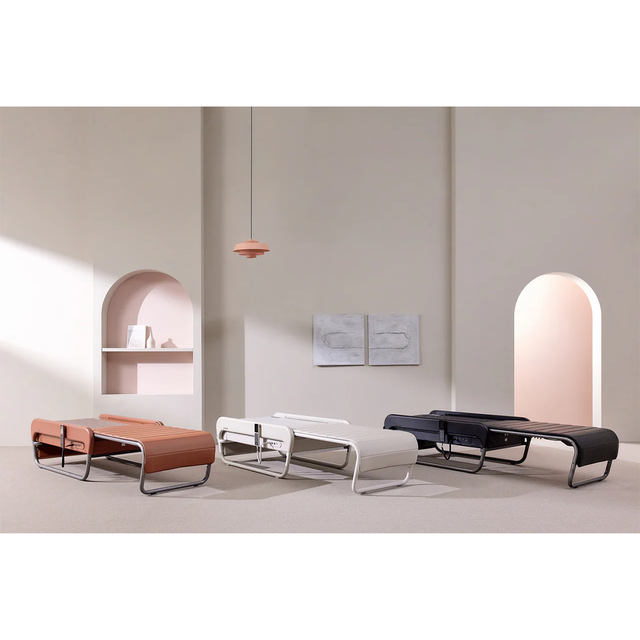 Ceragem V5 Therapetic Thermal Massager