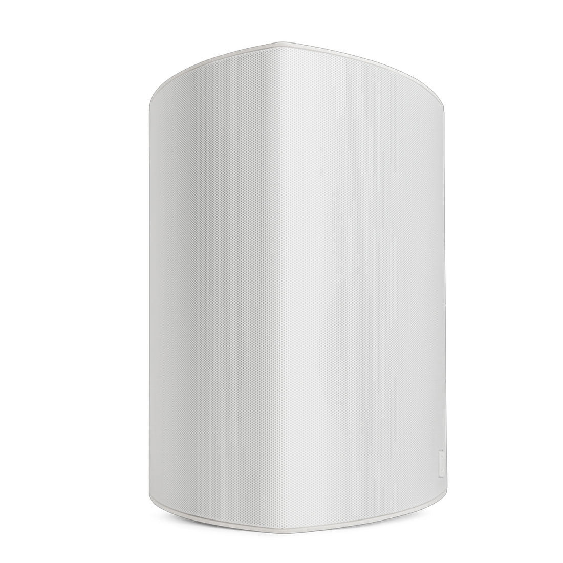 Definitive Technology Dymension Outdoor AW650 WHITE