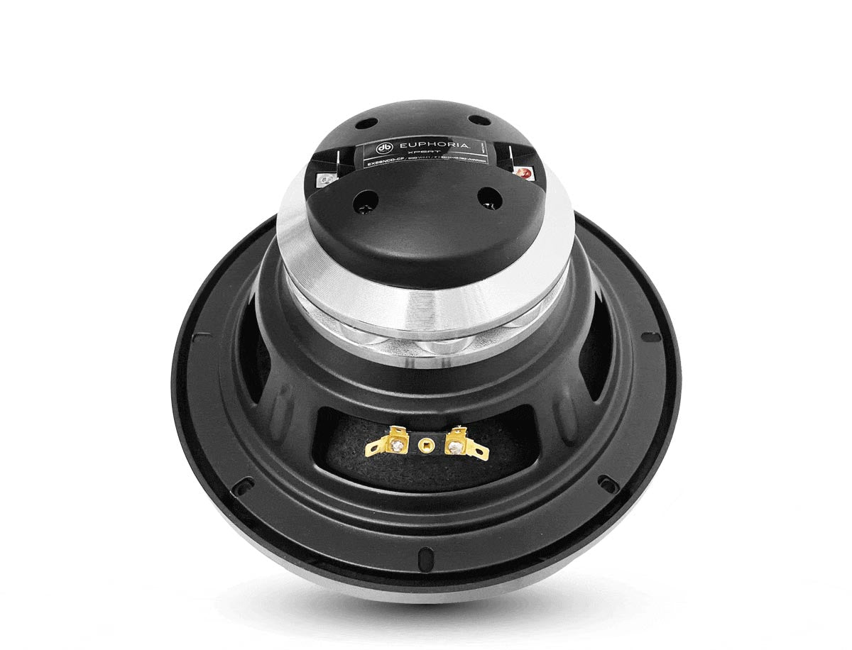 Euphoria-XPERT-EX8SNCD-CF-back