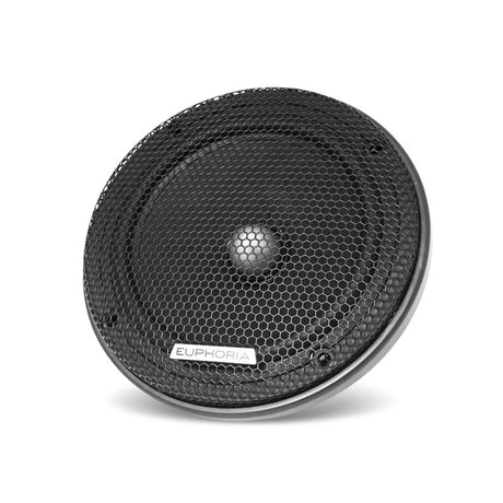 E6 Component System Speaker Grill, Speaker with grill on.