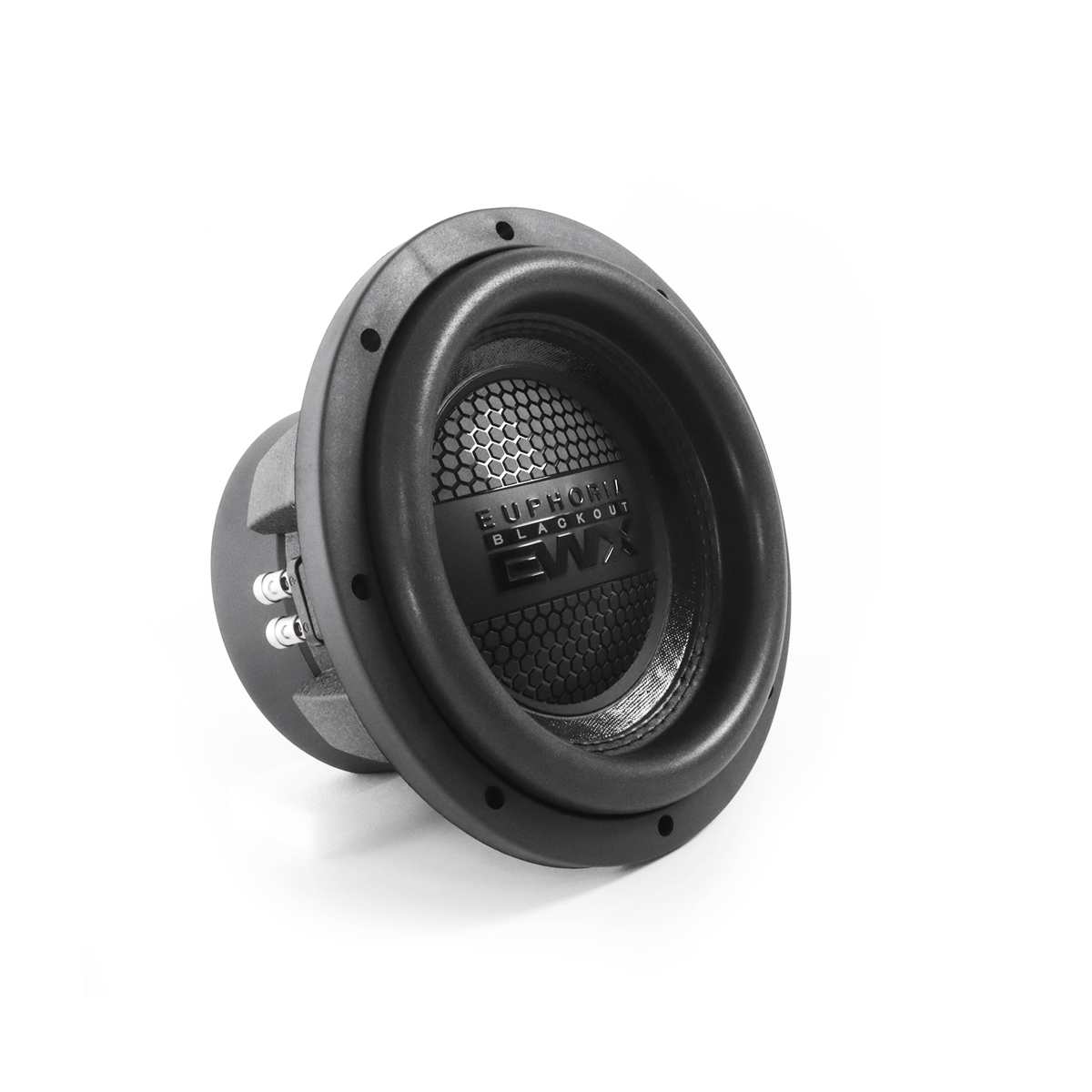 Euphoria EWXB10D2 10" 1000W 2-Ohm DVC Subwoofer