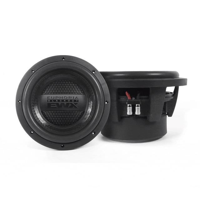 Euphoria EWXB10D2 10" 1000W 2-Ohm DVC Subwoofer