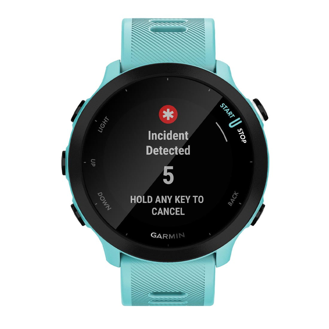 Garmin 010-02562 Forerunner 55 Smartwatch (010-02562)