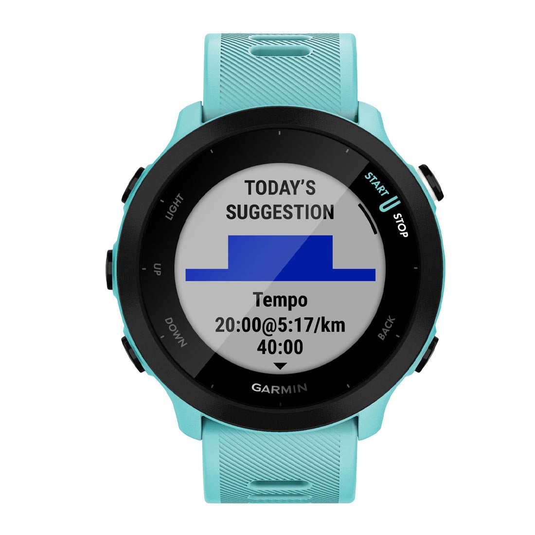 Garmin 010-02562 Forerunner 55 Smartwatch (010-02562)