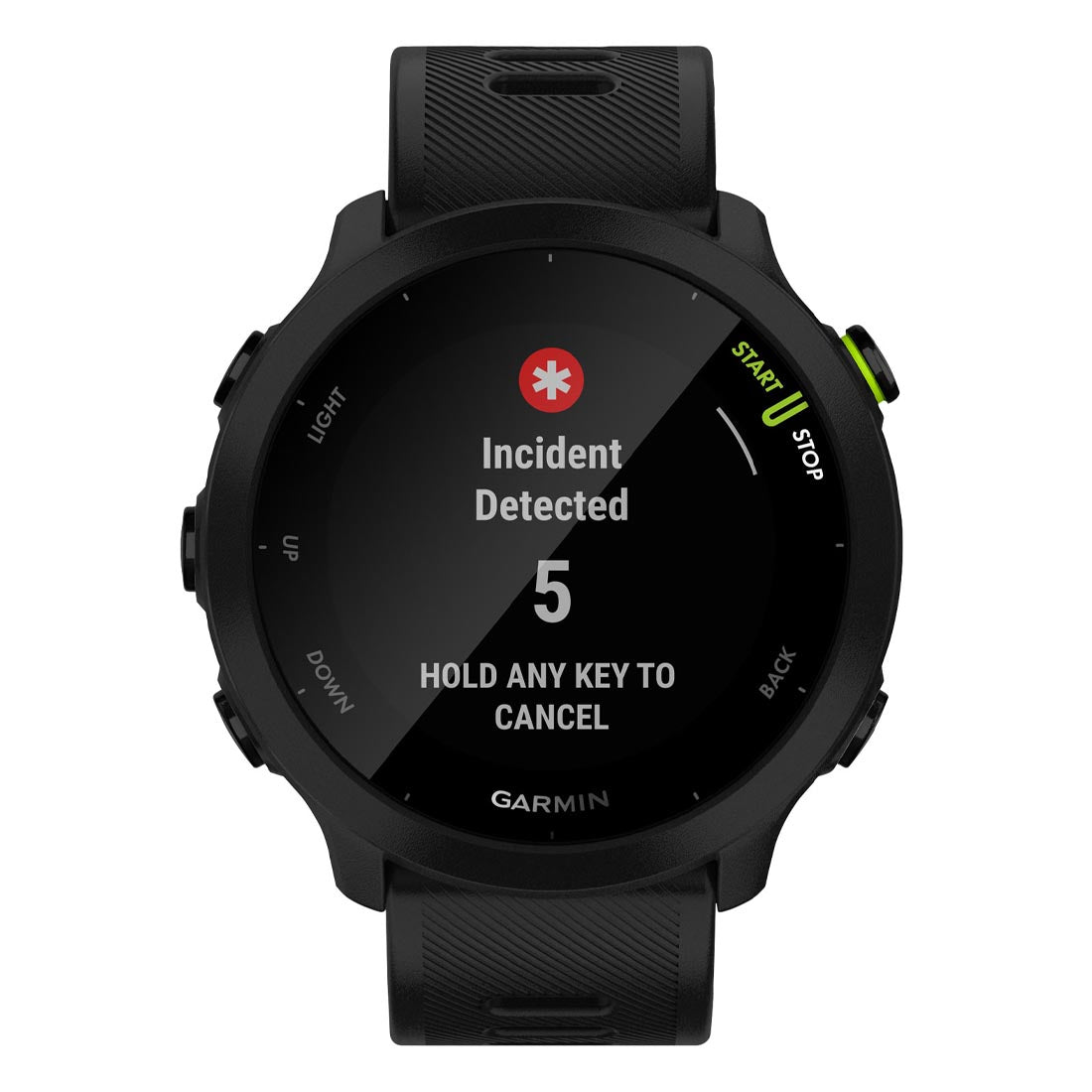 Garmin 010-02562 Forerunner 55 Smartwatch (010-02562)