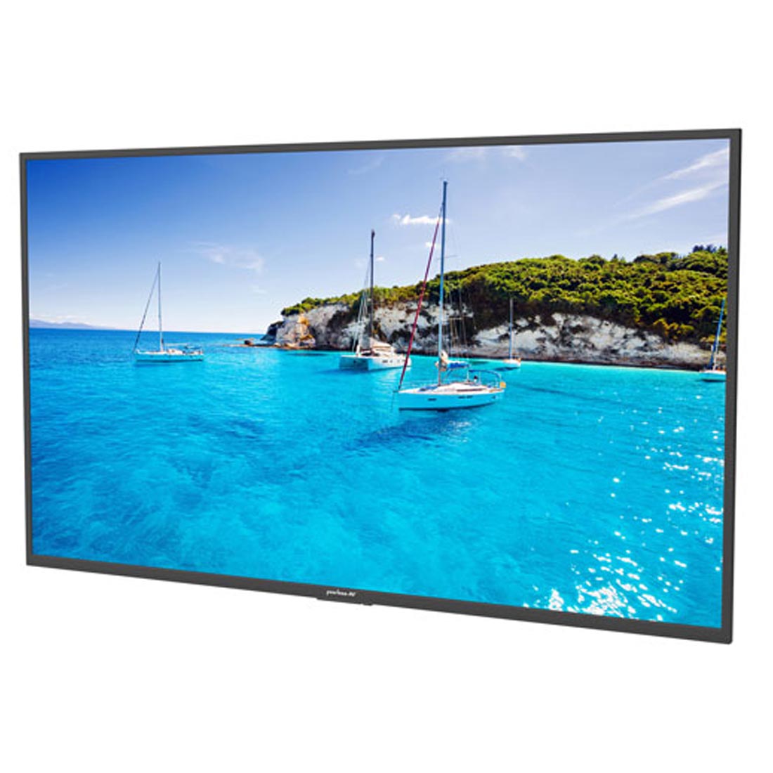 Neptune Full Sun 4K UHD HDR LED webOS Outdoor Smart TV with Outdoor Mount - ODTV5504 - ODTV6504