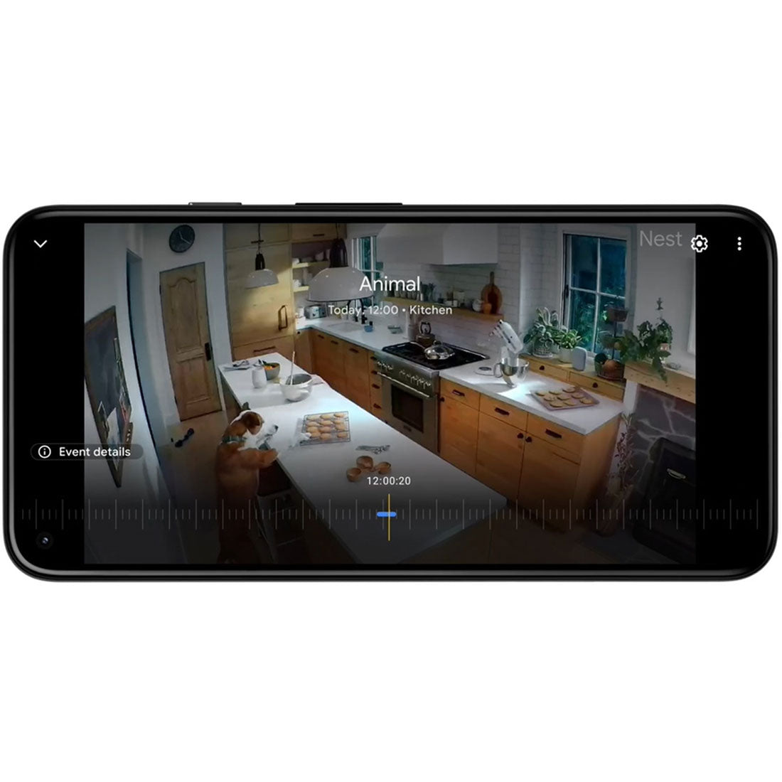 Nest GA01317-CA kitchen