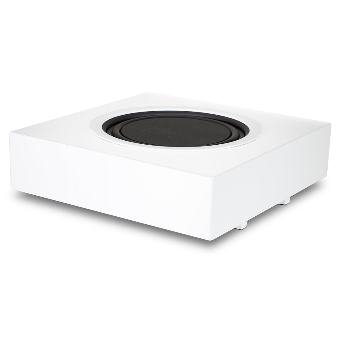 PSB CSIR SUB white 2