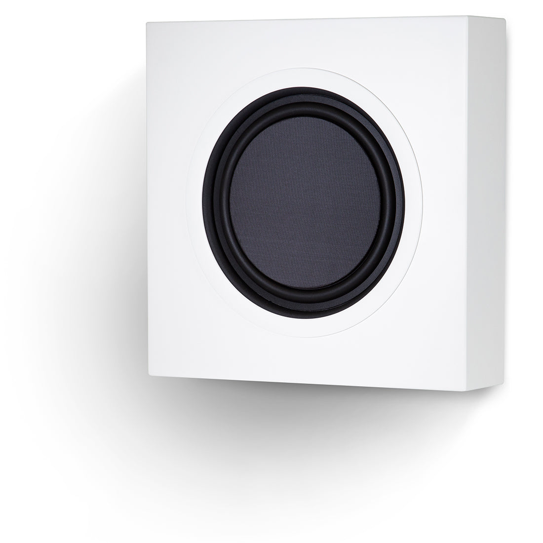 PSB CSIR SUB white 4