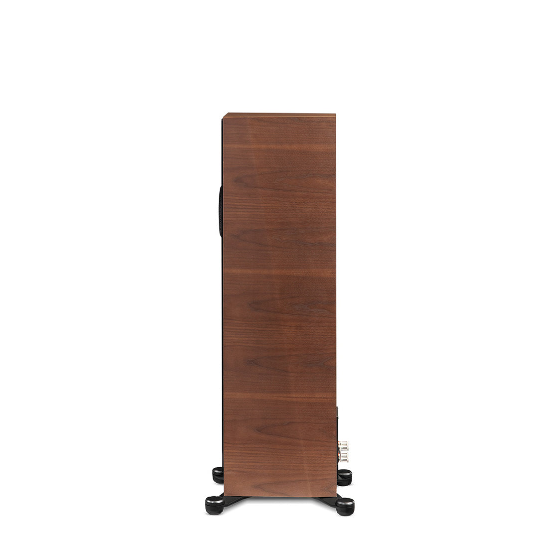 Paradigm Founder 80F Walnut Side