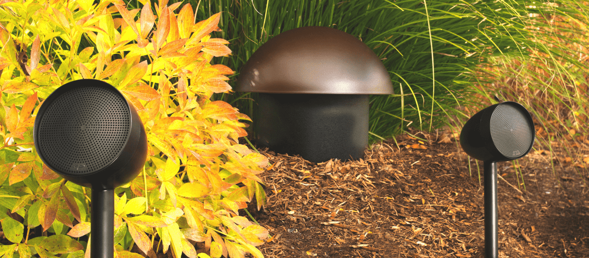 Paradigm GO8SW Garden Oasis Sub 8 Inground Subwoofer with 8" Driver