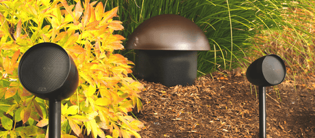 Paradigm GO8SW Garden Oasis Sub 8 Inground Subwoofer with 8" Driver