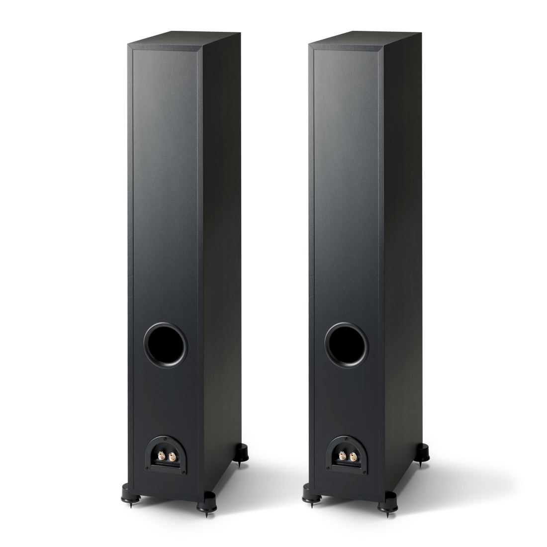 Paradigm Monitor SE 6000F Black Rear