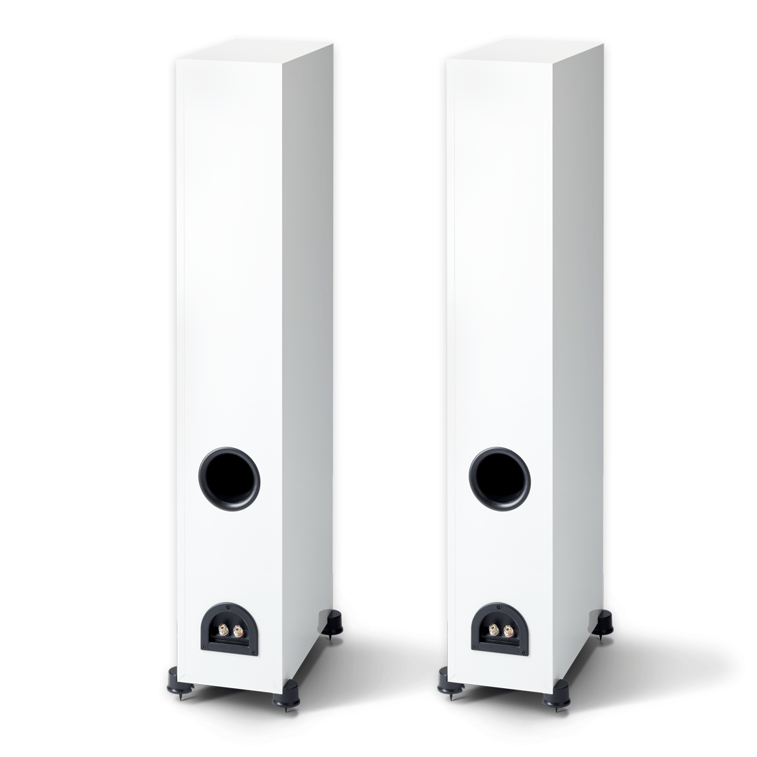 Paradigm Monitor SE 6000F White Back