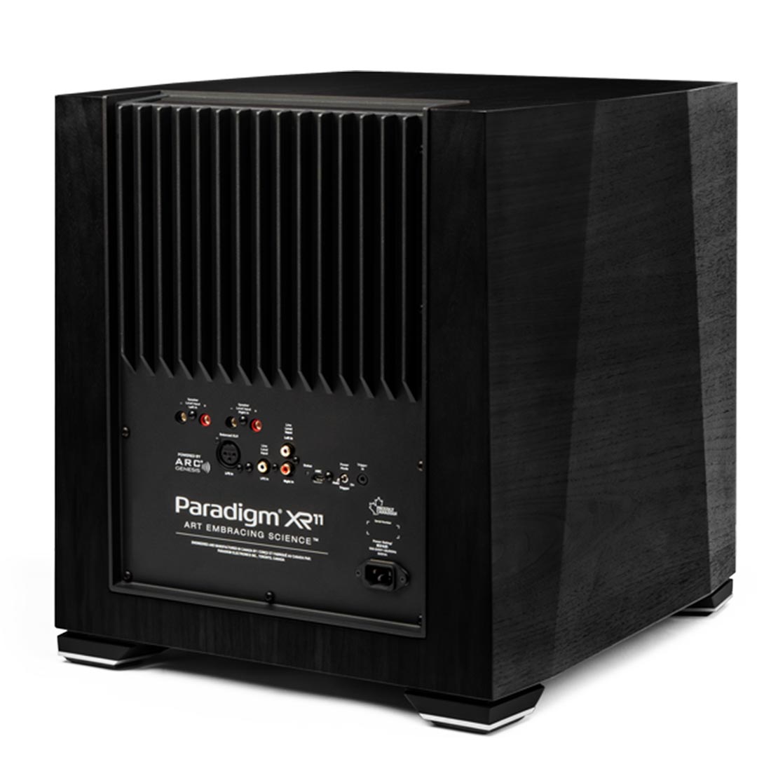 Paradigm XR11 Black Walnut 4