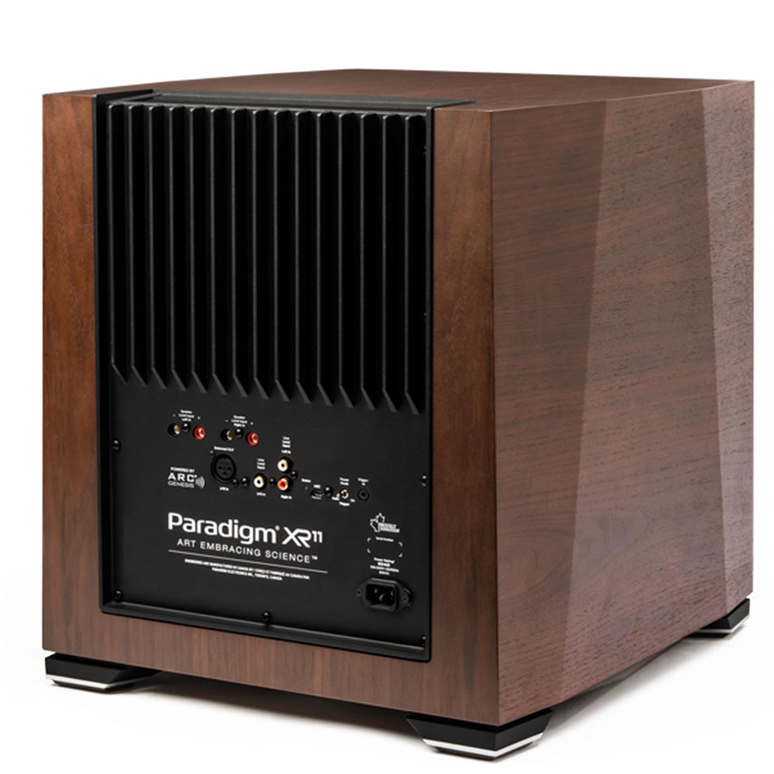 Paradigm XR11 Walnut 5