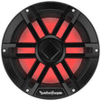 Rockford Fosgate M1D2-10B main