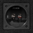 Rockford Fosgate P1-1X10 main