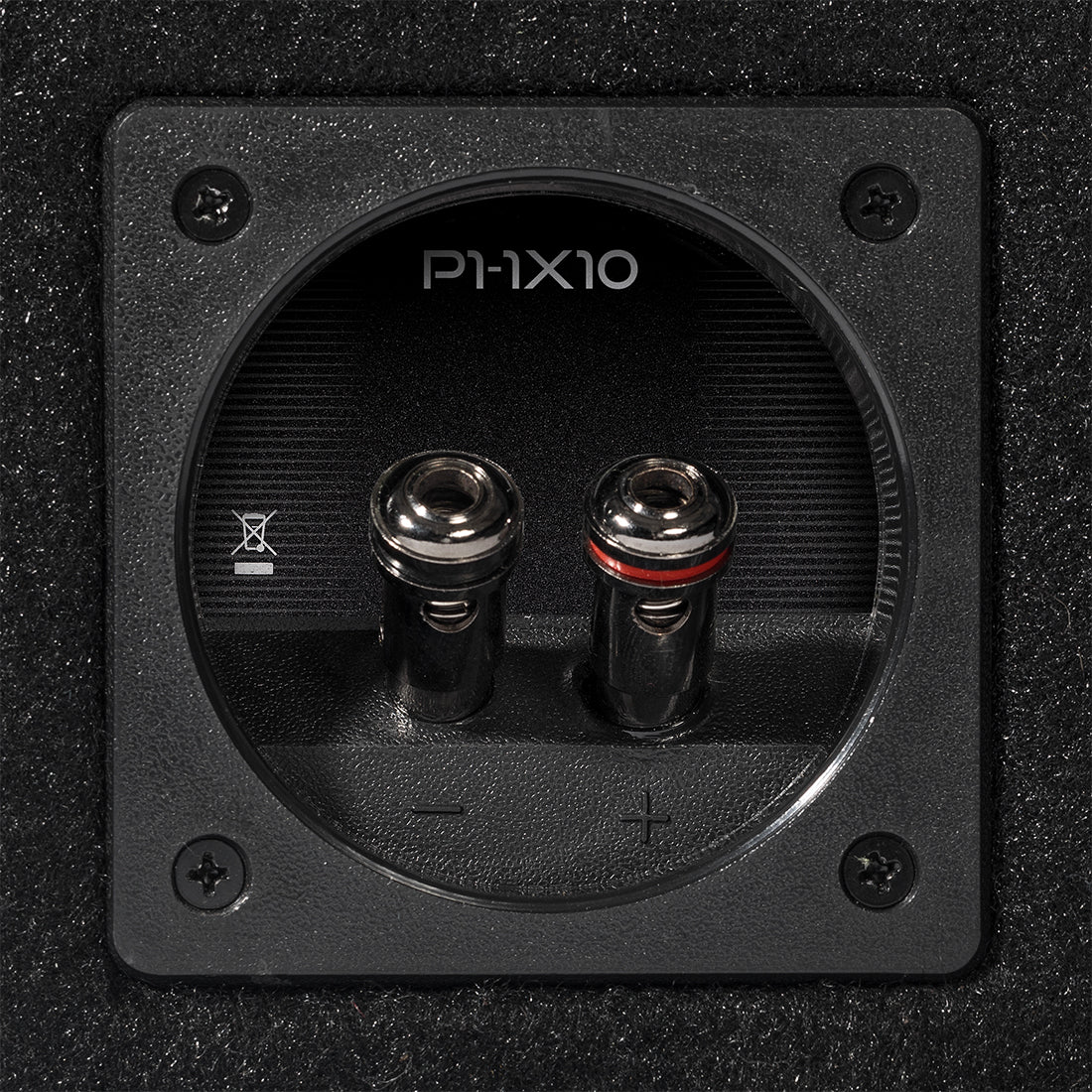 Rockford Fosgate P1-1X10 main