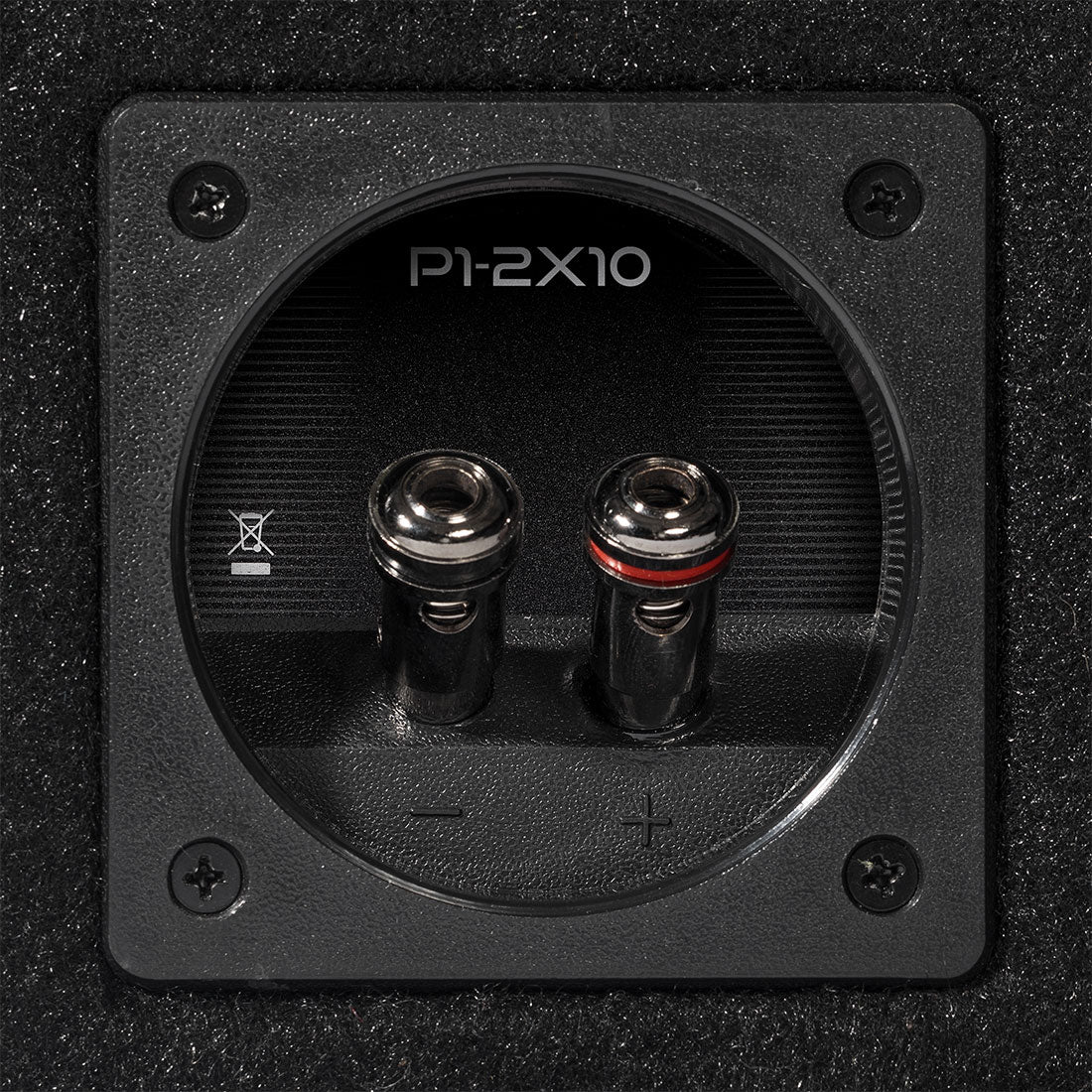 Rockford Fosgate P1-2X10 1