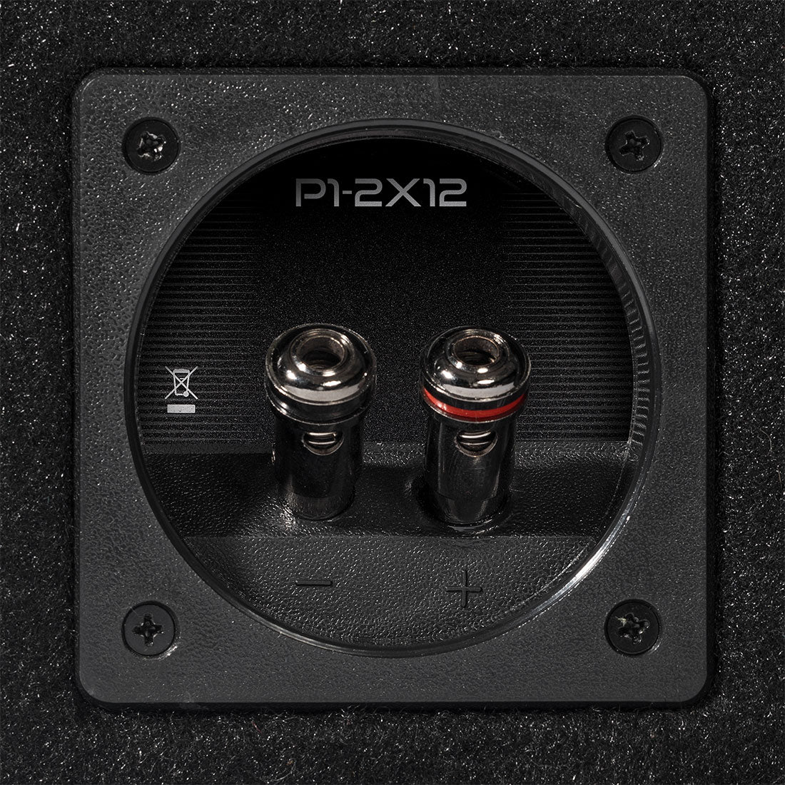 Rockford Fosgate P1-2X12 3