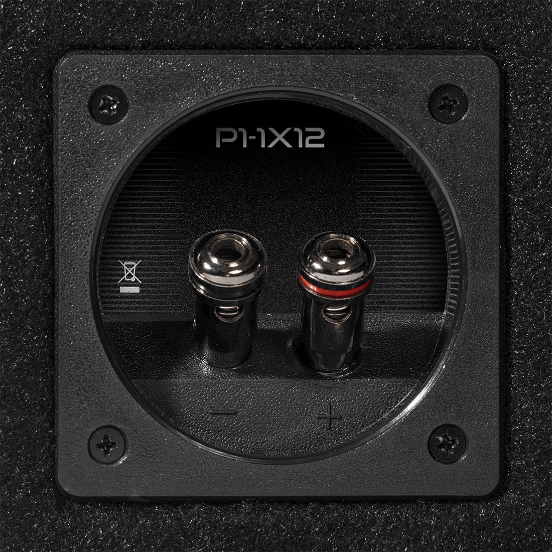 Rockford Fosgate P2-1X12 5