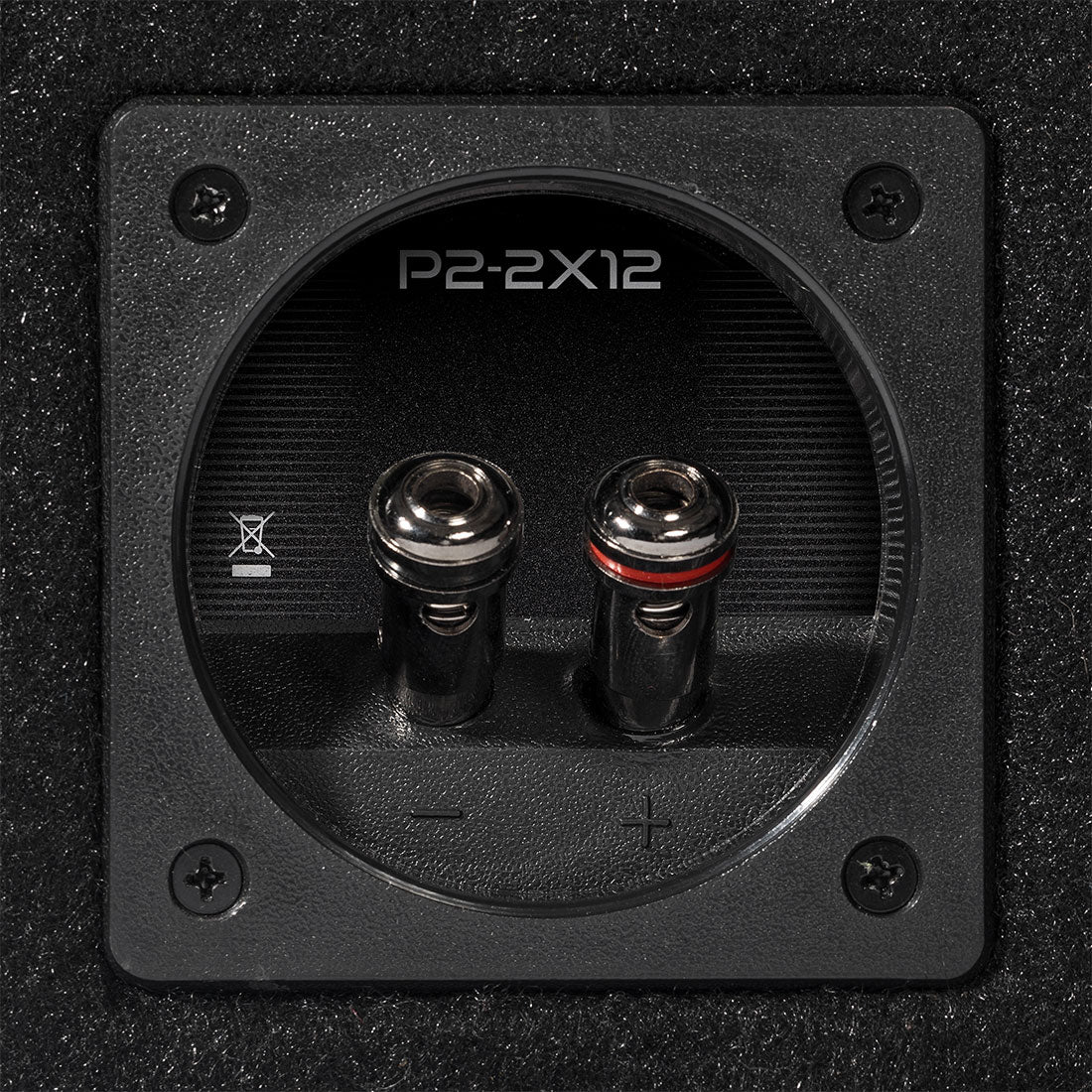 Rockford Fosgate P2-2X12 2