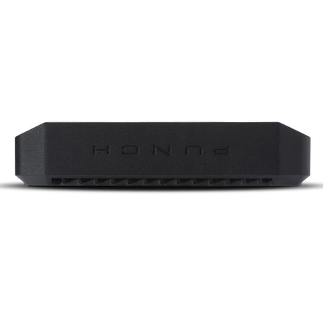 Rockford Fosgate P500X1BD Punch 1