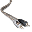 Rockford Fosgate RFI-10 main