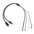 Rockford Fosgate RFI2SW main