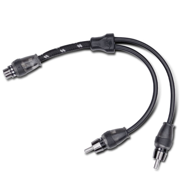 Rockford Fosgate RFITY-1F main