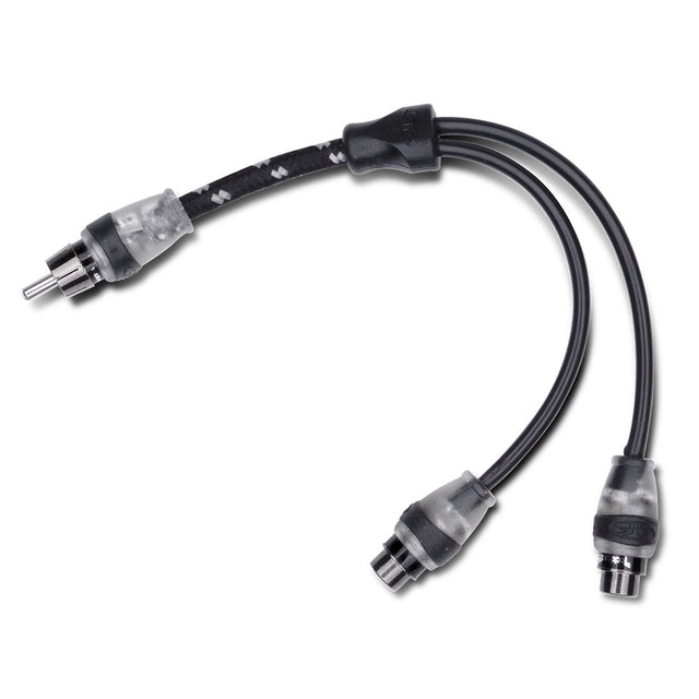 Rockford Fosgate RFITY-1M main
