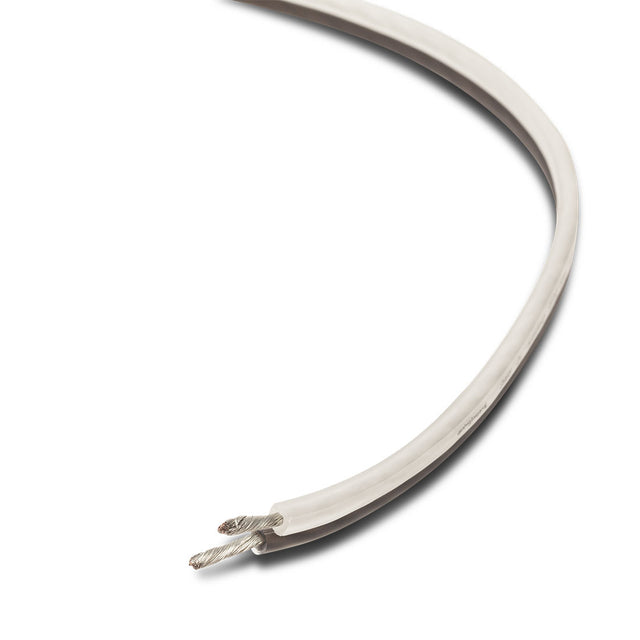 Rockford Fosgate RFW12-250 MAIN