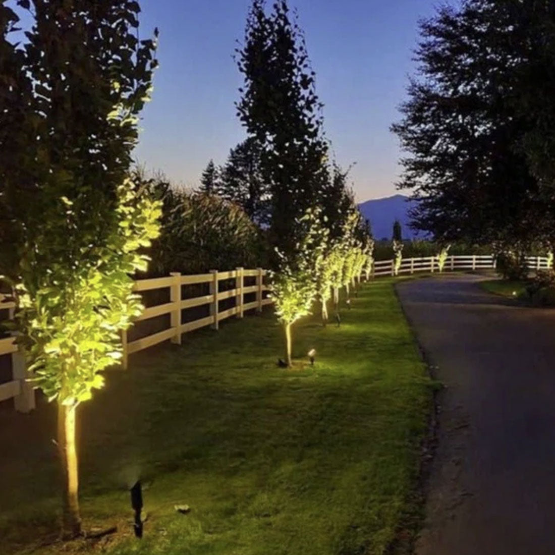 Silhouette Lights SP501B Adjustable LED Spot Light - Black