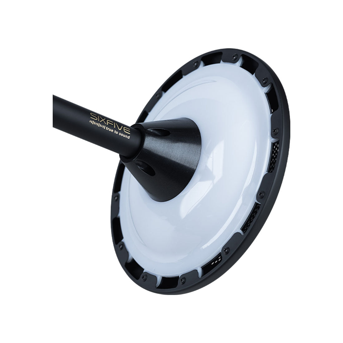 SixFive 4 Satellite Landscape Speaker Lights