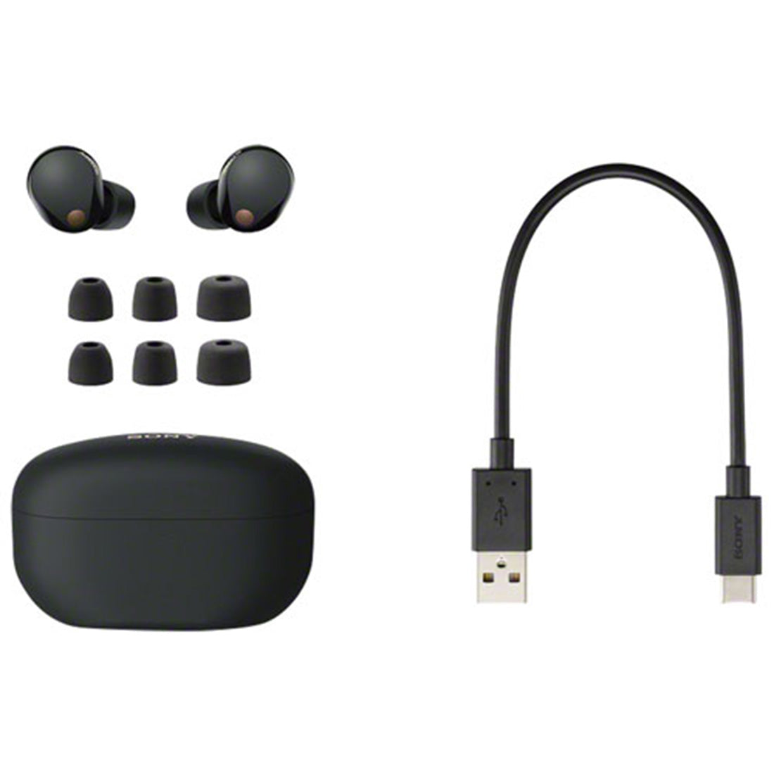 Sony WF-1000XM5 Wireless Noise Cancelling Headphones - Black