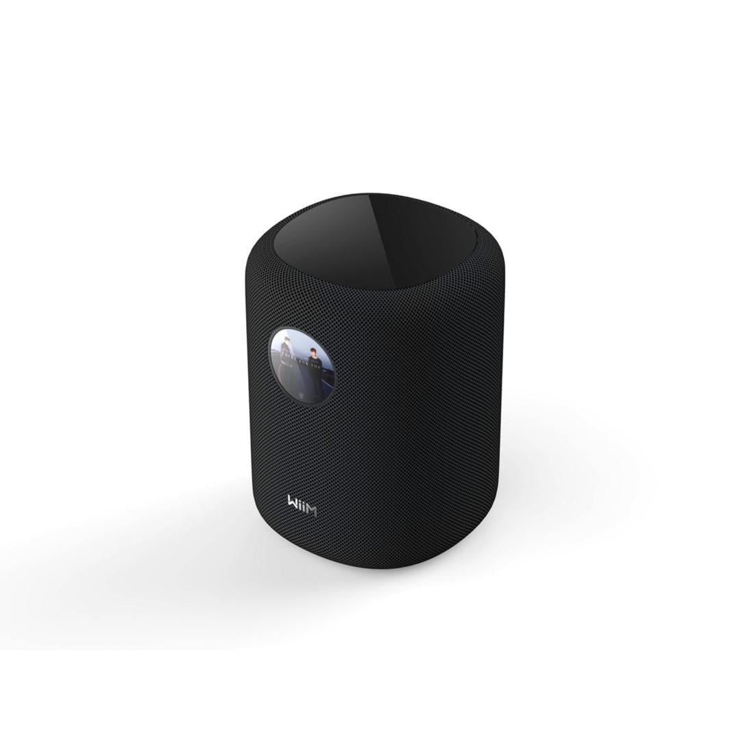 WiiM Sound Smart Speaker