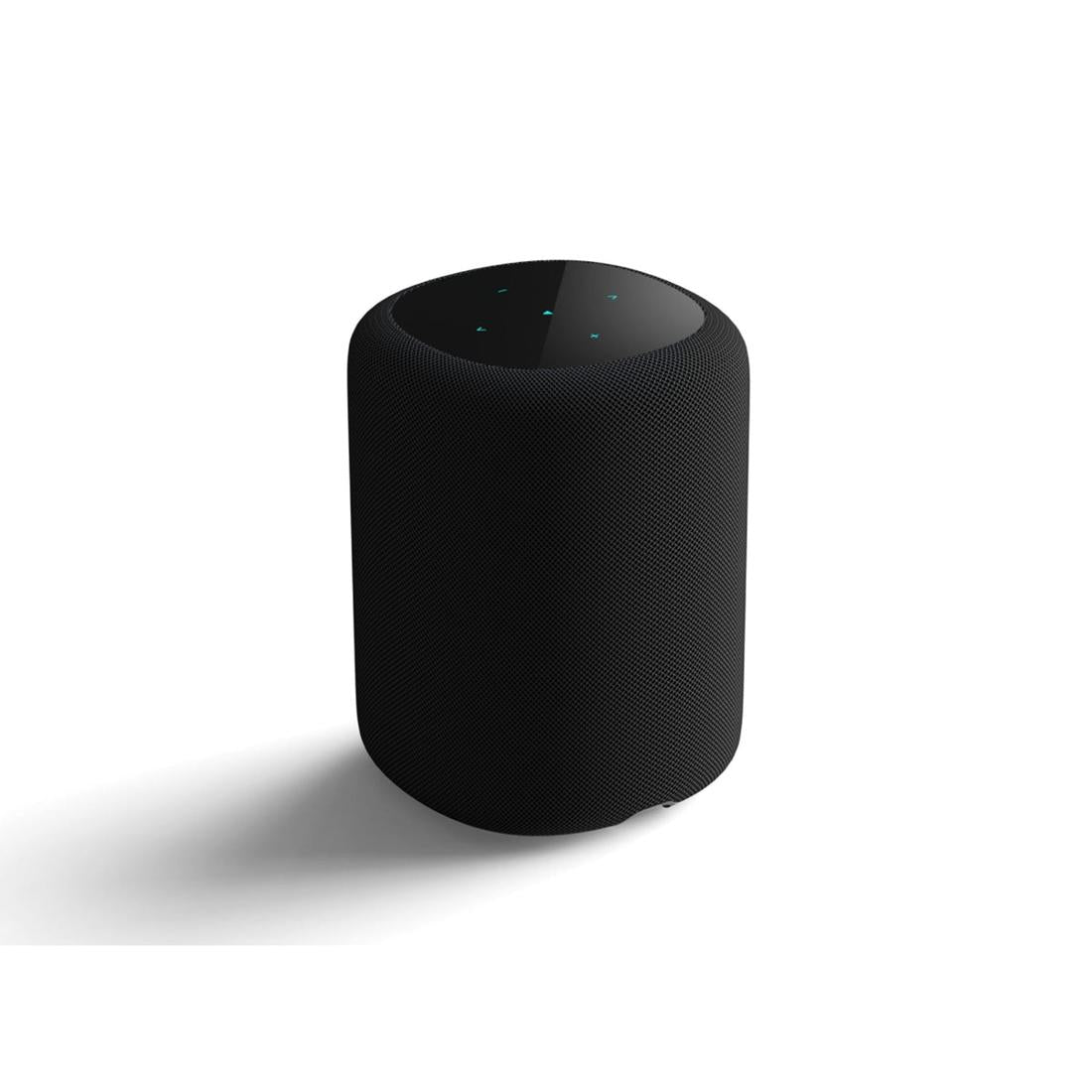 WiiM Sound Smart Speaker