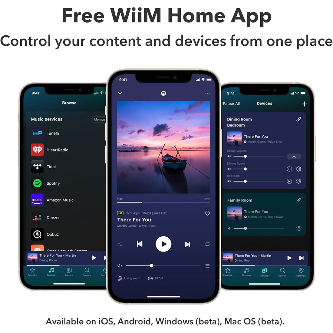 WiiM Amp: Multiroom Streaming - AirPlay 2, Chromecast, Voice Control