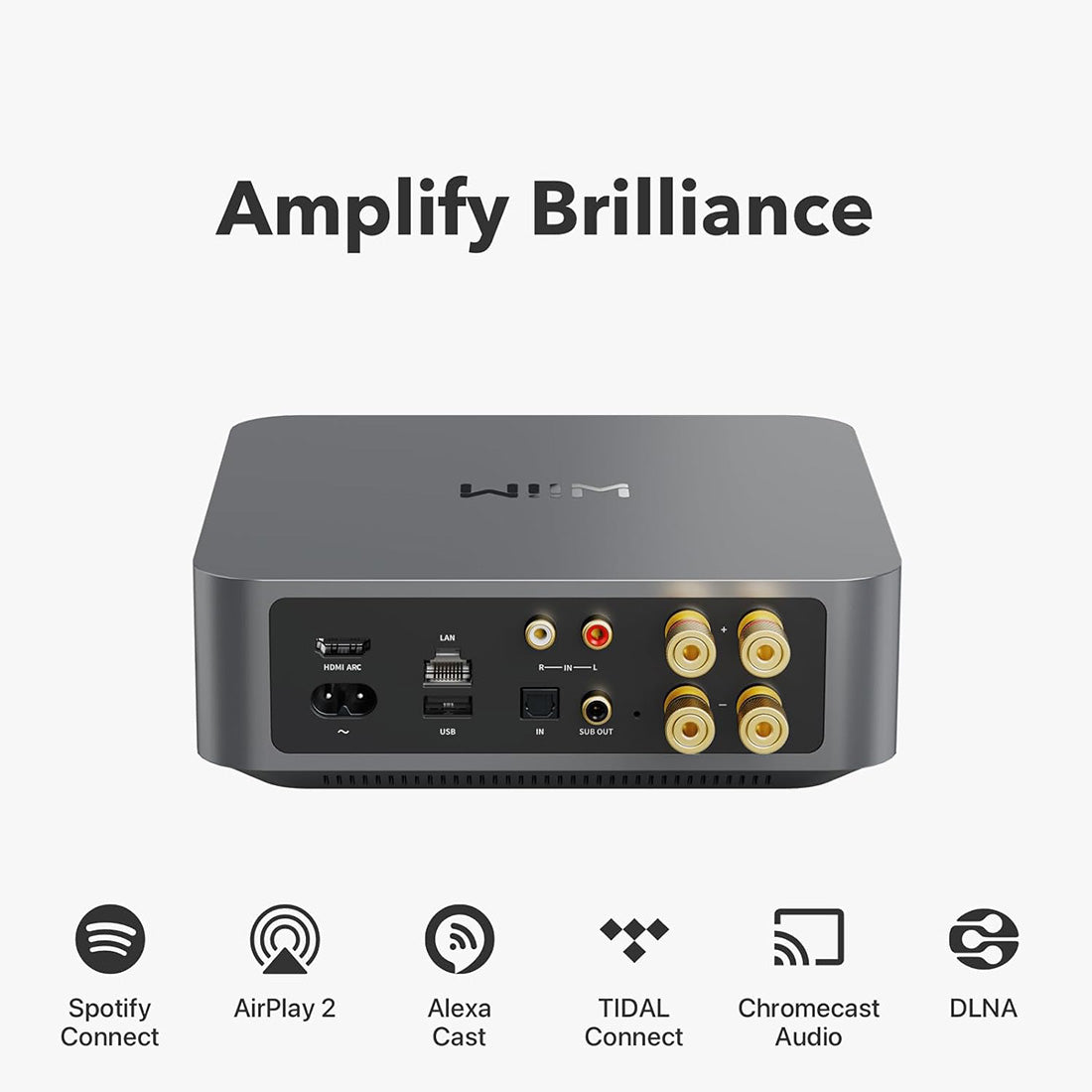WiiM Amp: Multiroom Streaming - AirPlay 2, Chromecast, Voice Control